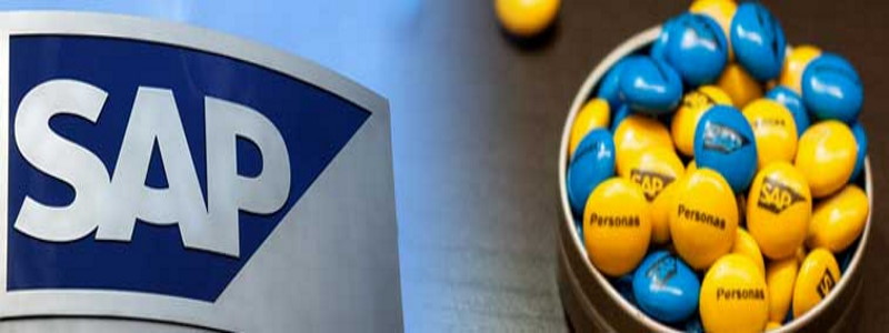 Birchman delivers increased productivity and enhanced usability through SAP Personas