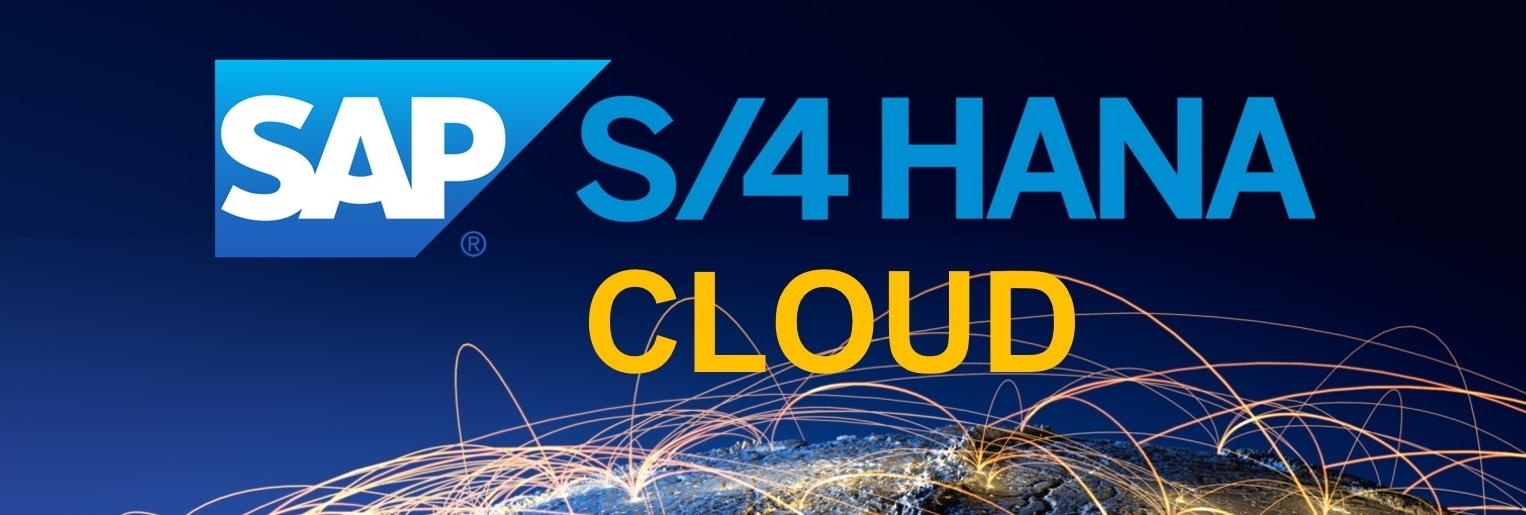 Birchman selected as Lighthouse Partner for SAP S/4HANA Cloud