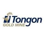 https://birchmangroup.com/wp-content/uploads/2024/12/Tongon.jpg