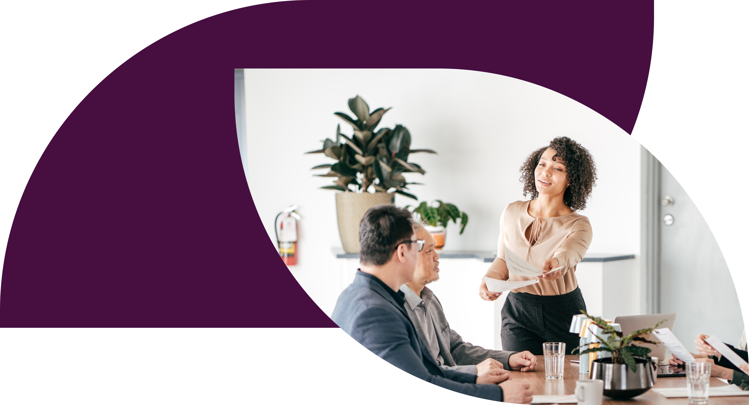 Professional services graphic