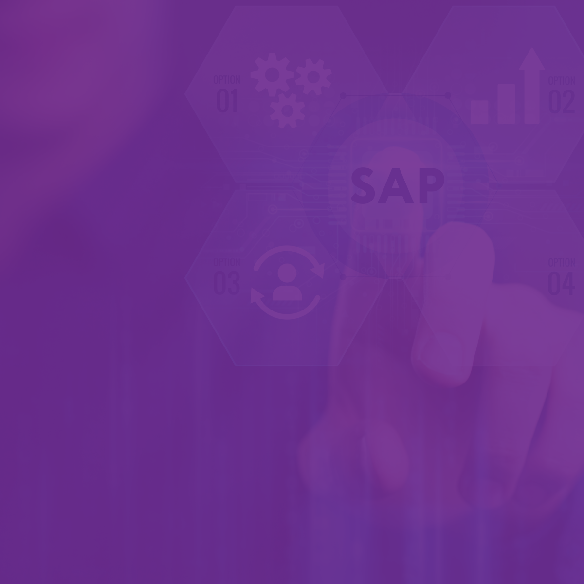 Birchman partners with Soterion to support SAP licensing