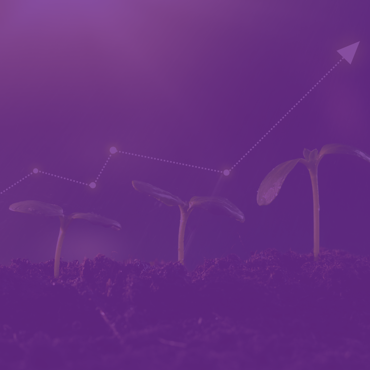 When SAP Business ByDesign Meets Growth | Part 1 of 3