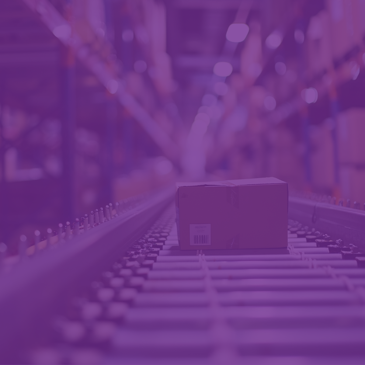 Global Supply Chain Visibility: Enhancing Logistics Visibility and Its Business Value