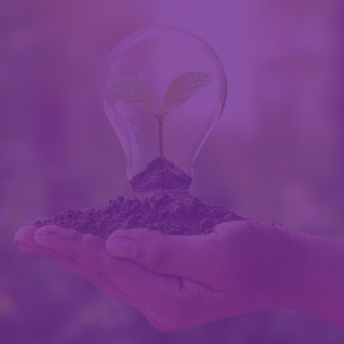 Why Do Businesses Partner with ERP Consulting Organisations for Long Term Growth?